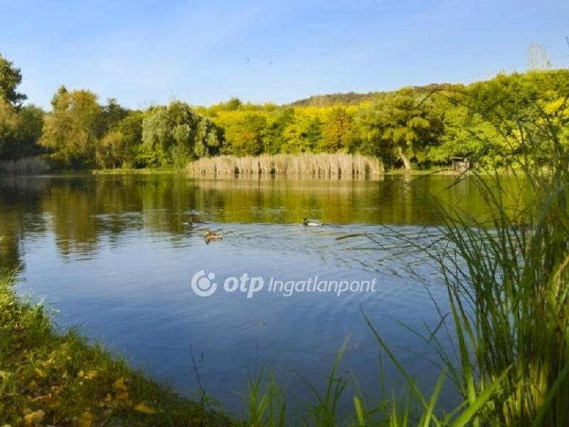 Eladó nyaraló Fót