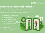Eladó külterületi telek Hódmezővásárhely