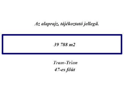 Eladó külterületi telek Hódmezővásárhely