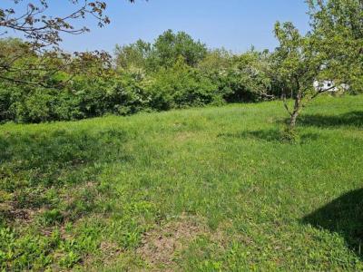 Eladó egyéb telek Biatorbágy