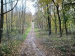 Eladó telek Siófok
