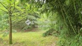 Eladó családi ház Kistótfalu