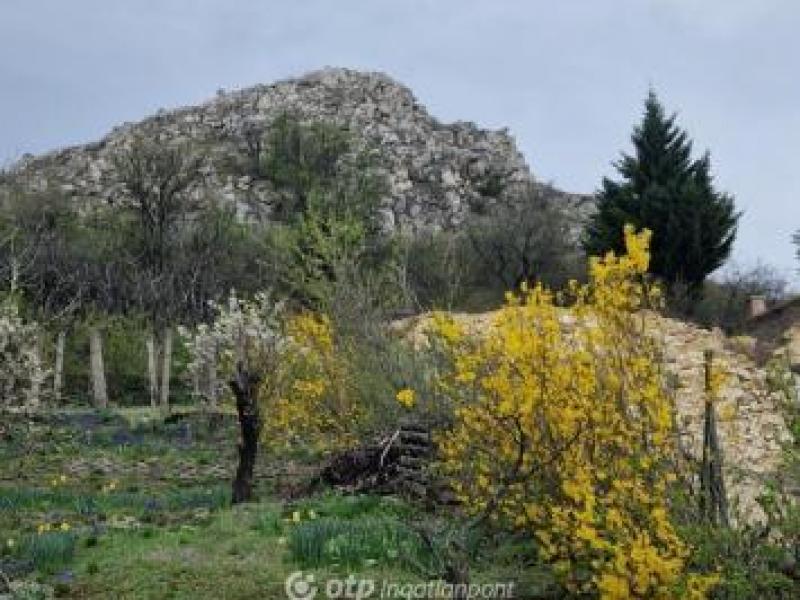 Eladó lakóövezeti telek Budaörs