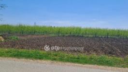 Eladó lakóövezeti telek Napkor