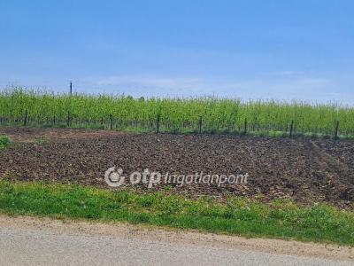 Eladó lakóövezeti telek Napkor