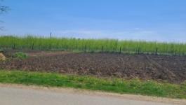 Eladó lakóövezeti telek Napkor