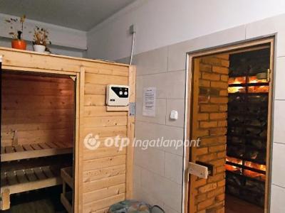 Eladó szálloda, hotel, panzió Cserkeszőlő