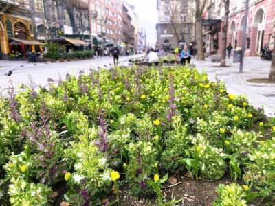 Eladó lakás Budapest