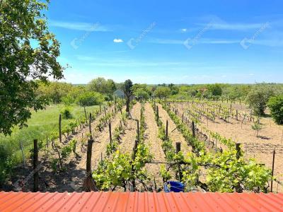 Eladó nyaraló Monor