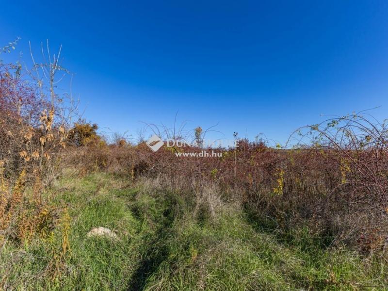 Eladó külterületi telek Eger