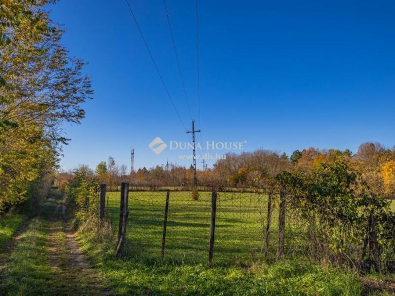 Eladó külterületi telek Eger
