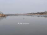 Eladó nyaraló Fadd
