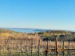 Eladó nyaraló Balatonfüred