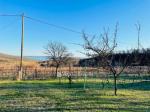 Eladó nyaraló Balatonfüred