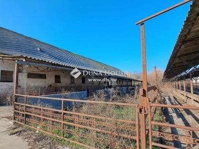 Eladó általános mezőgazdasági ingatlan Hódmezővásárhely