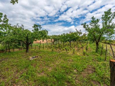 Eladó családi ház Úri