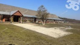 Eladó tanya Kecskemét