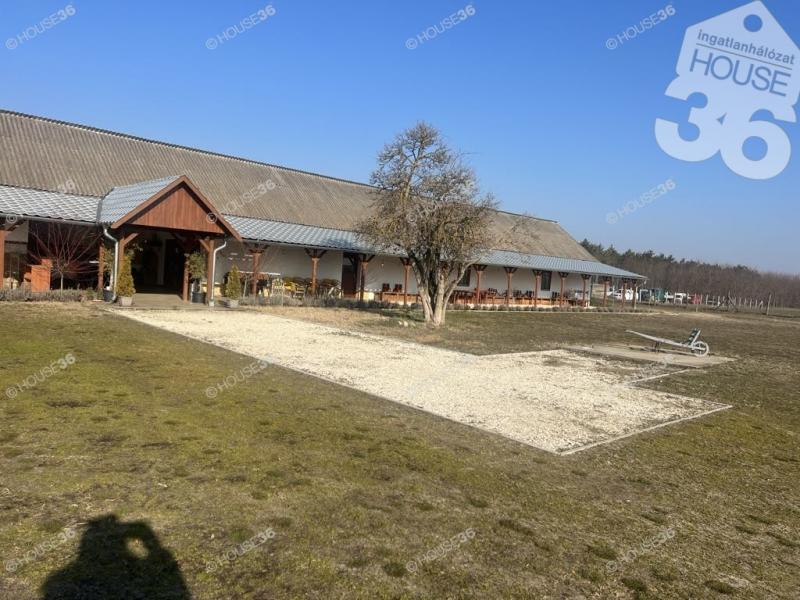 Eladó tanya Kecskemét