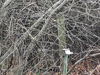 Eladó egyéb telek Szigetszentmiklós