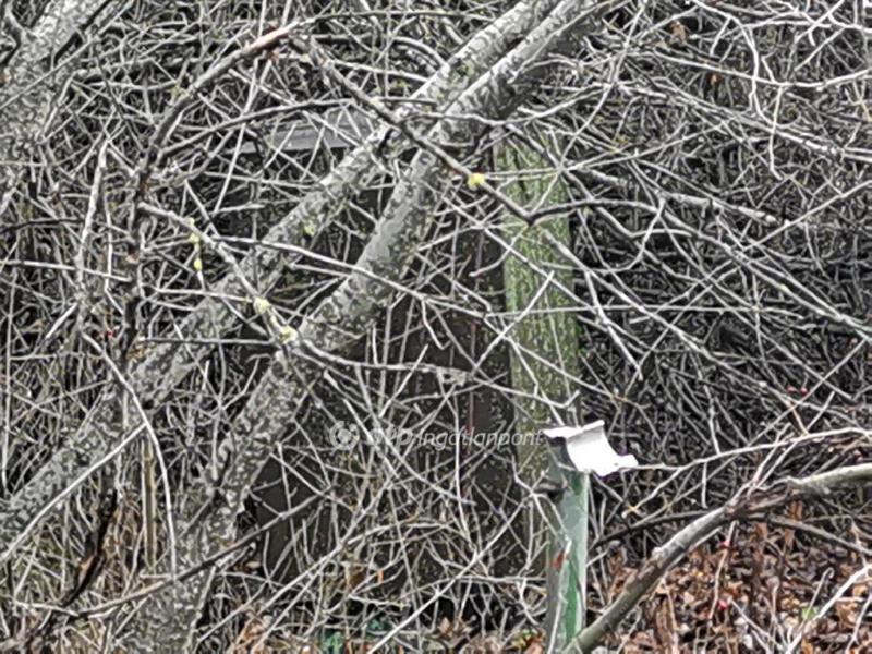 Eladó egyéb telek Szigetszentmiklós