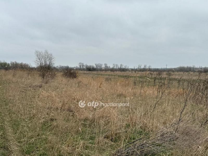 Eladó üdülőövezeti telek Kisköre