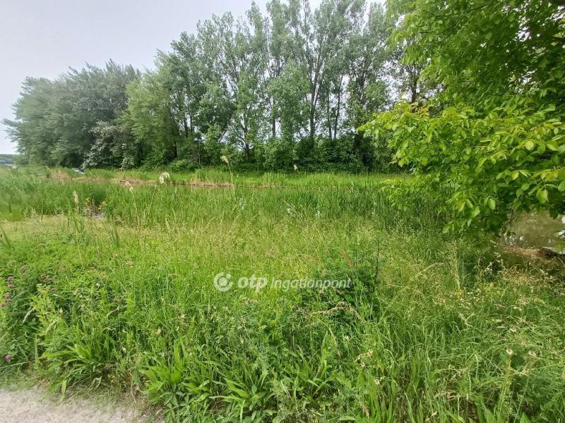 Eladó egyéb telek Dömsöd