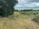 Eladó nyaraló Balatonszepezd