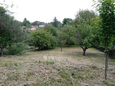 Eladó lakóövezeti telek Városlőd