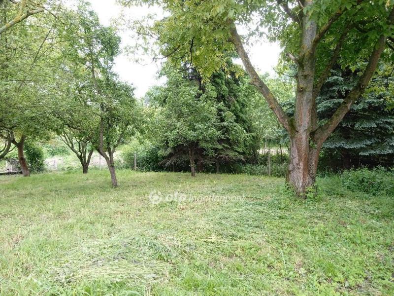 Eladó lakóövezeti telek Városlőd