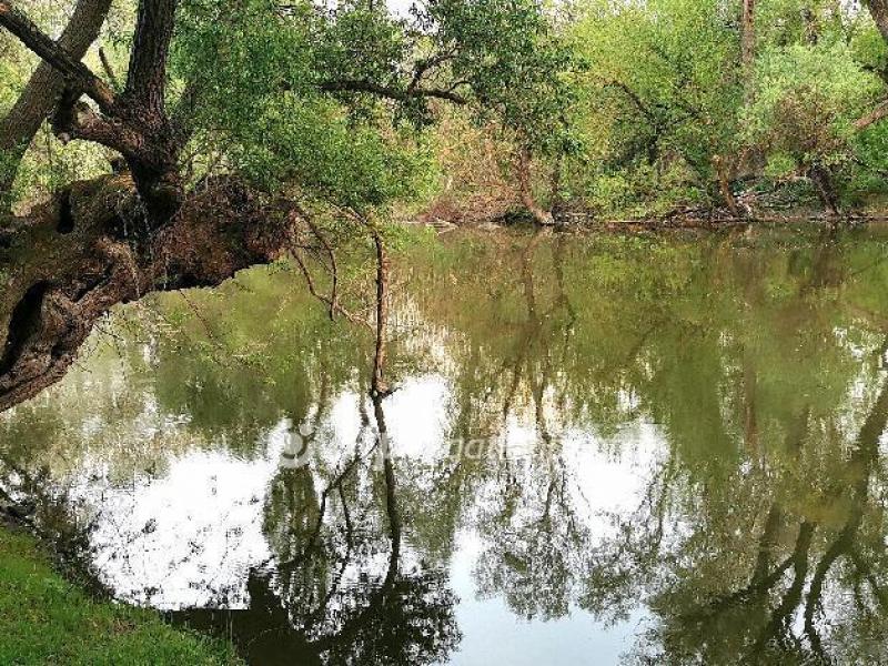 Eladó egyéb telek Győr