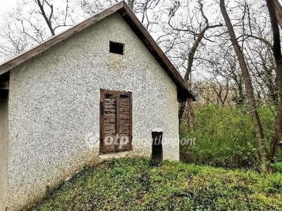 Eladó egyéb telek Tápszentmiklós