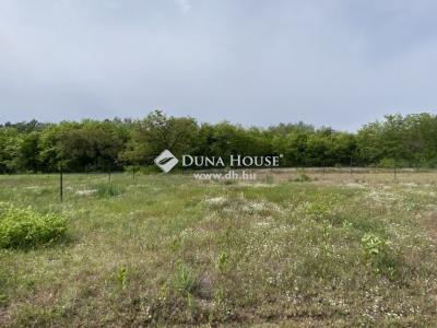 Eladó lakóövezeti telek Dabas