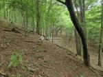 Eladó lakóövezeti telek Eger Szarvaskő