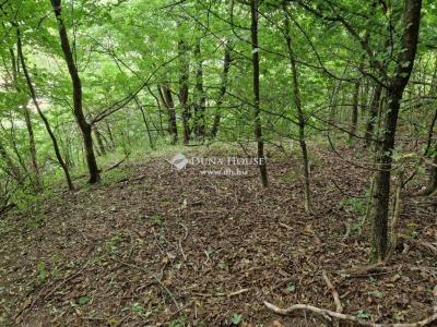 Eladó lakóövezeti telek Eger Szarvaskő