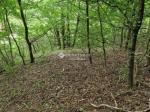 Eladó lakóövezeti telek Eger Szarvaskő