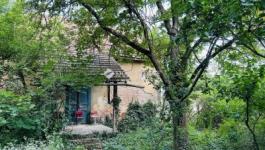 Eladó családi ház Piliscsaba