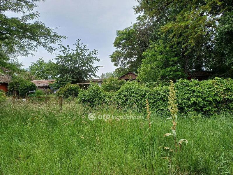 Eladó egyéb telek Dömsöd