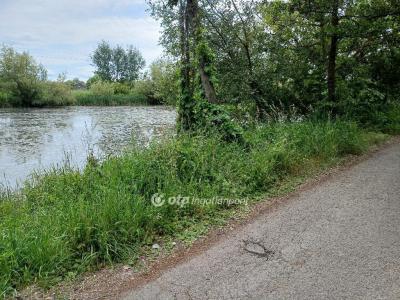 Eladó egyéb telek Dömsöd