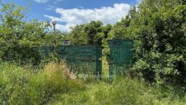 Eladó családi ház Mályi