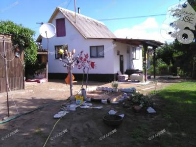 Eladó tanya - 6000 Kecskemét, alsószéktó tanya