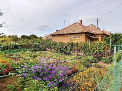 Eladó családi ház Abony