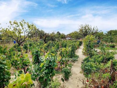 Eladó családi ház Abony