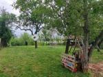 Eladó családi ház Balatonalmádi