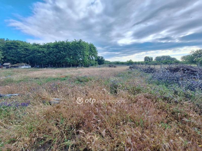 Eladó nyaraló Tiszakécske