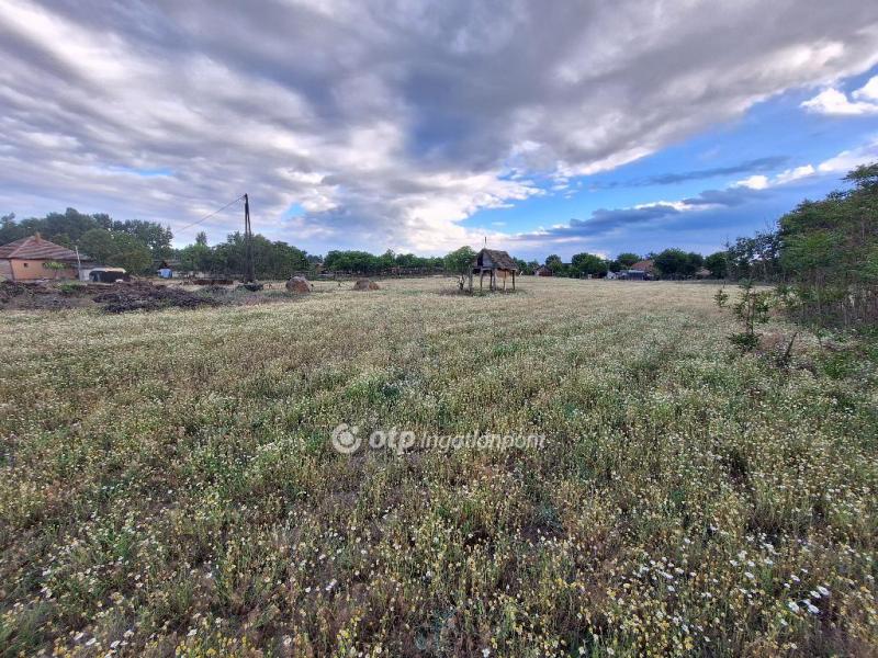 Eladó külterületi telek Tiszakécske