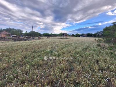 Eladó külterületi telek Tiszakécske