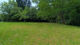 Eladó lakóövezeti telek Zalakaros