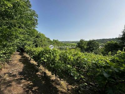 Eladó nyaraló Tamási