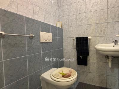 Eladó családi ház Piliscsaba