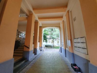 Kiadó lakás Szeged